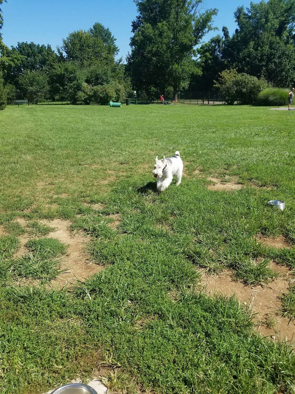 Bucks County Core Creek Dog Park | Park Rd, Langhorne, PA 19047 | Phone: (215) 757-0571