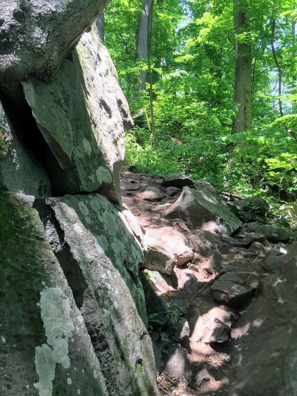 Sourland Mountain Preserve Trail | 421 E Mountain Rd, Hillsborough Township, NJ 08844, USA | Phone: (908) 722-1200