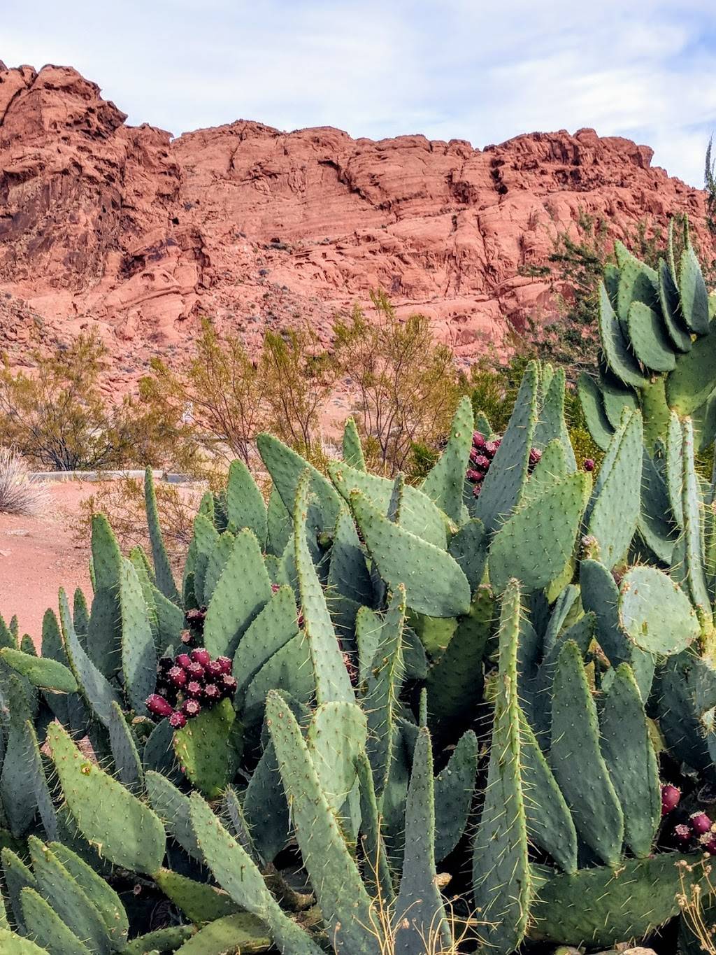 Valley of Fire Visitor Center | 515, Overton, NV 89040, USA | Phone: (702) 397-2088