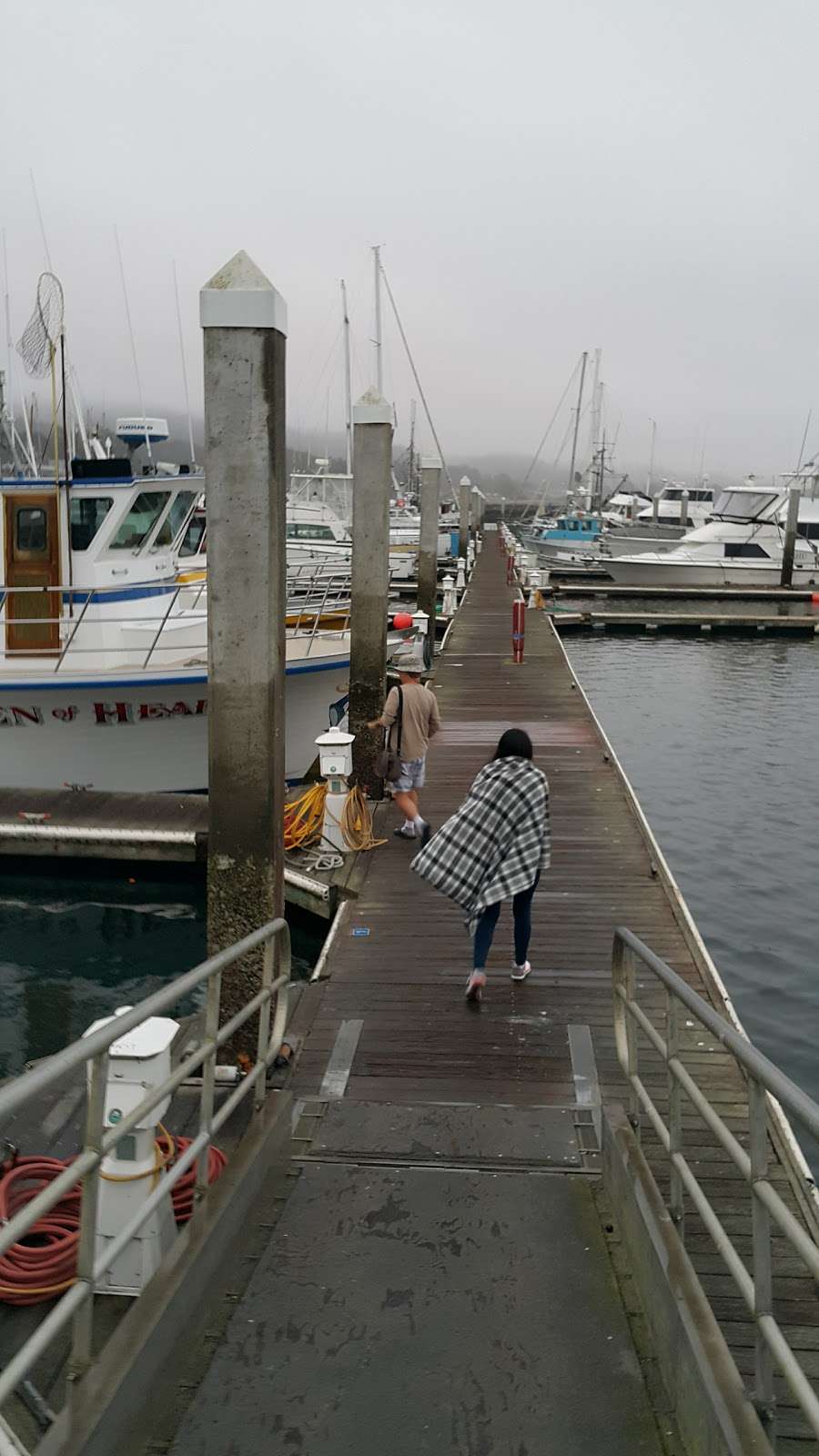 Half Moon Bay Sportfishing & Tackle | 27 Johnson Pier, Half Moon Bay, CA 94019 | Phone: (650) 728-3377
