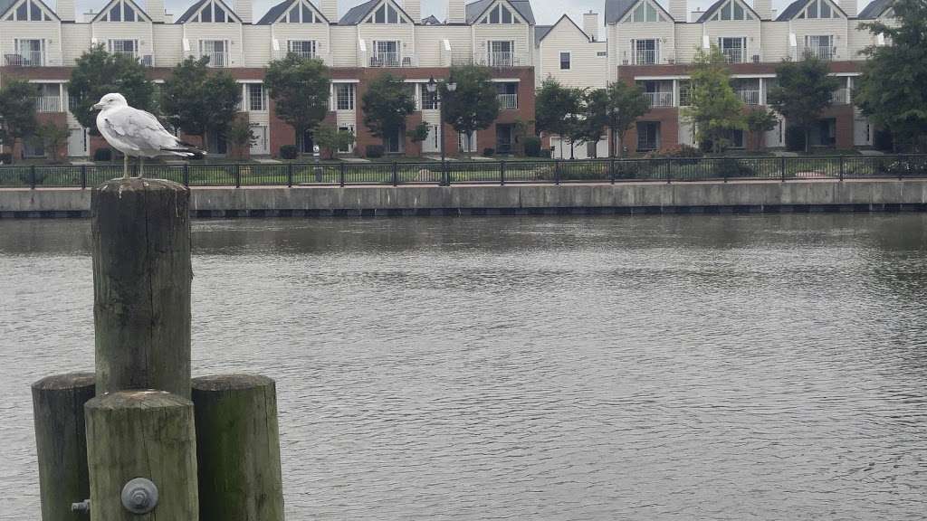 Tubman Garret Riverfront Park | Rosa Parks Dr, Wilmington, DE 19801