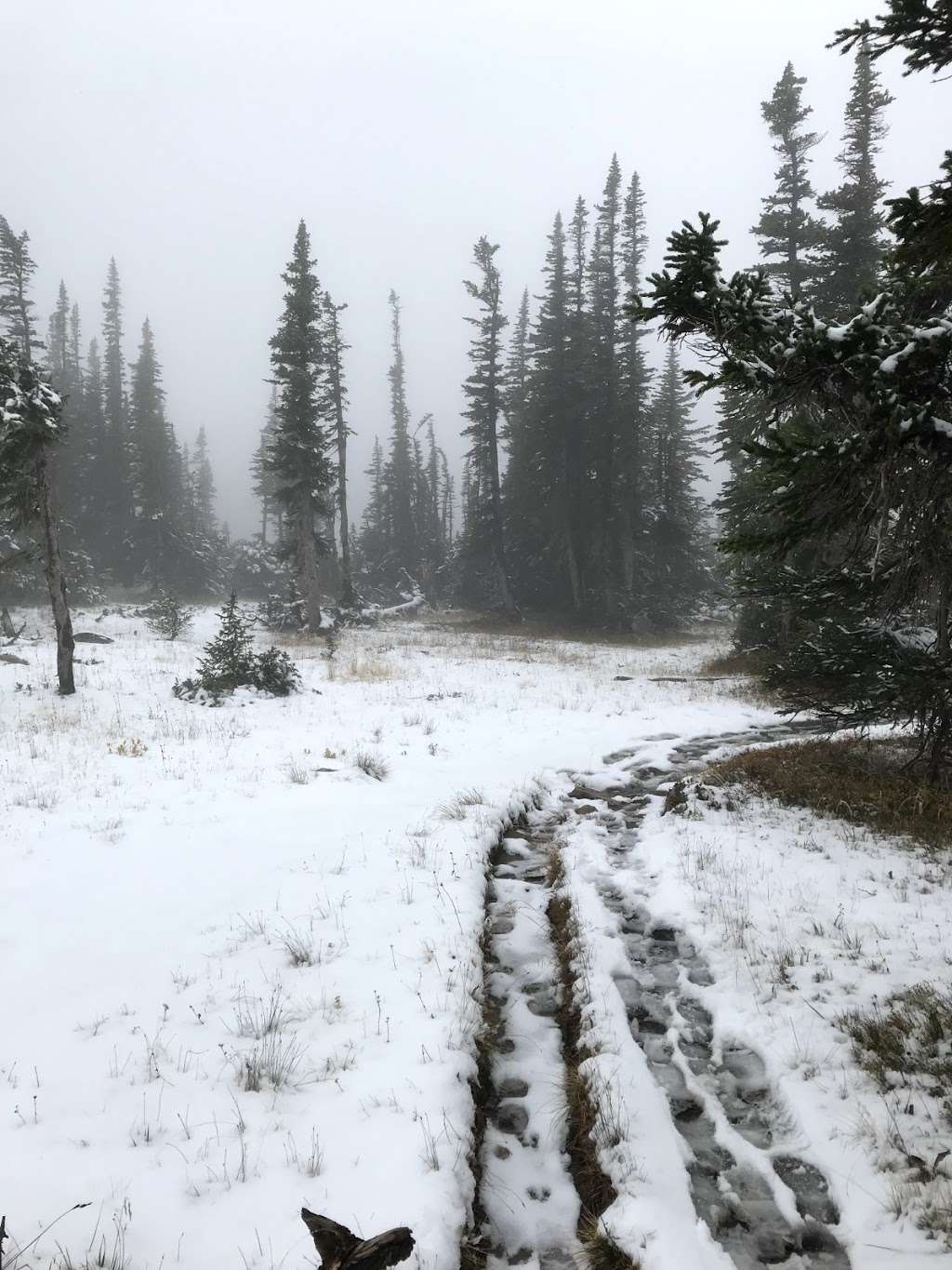 Sourdough | Estes Park, CO 80517, USA