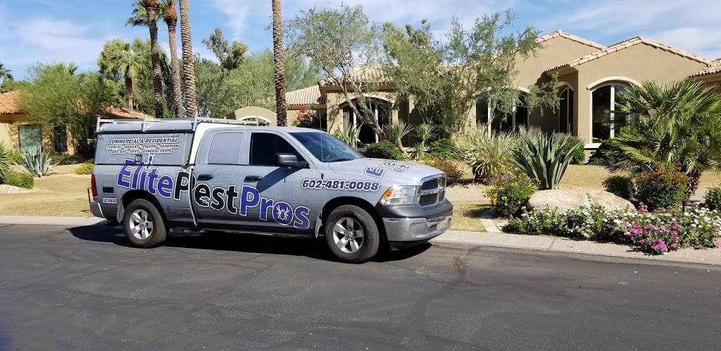 Elite Pest Pros | 23832 N 59th Ave, Glendale, AZ 85310, USA | Phone: (602) 481-0088