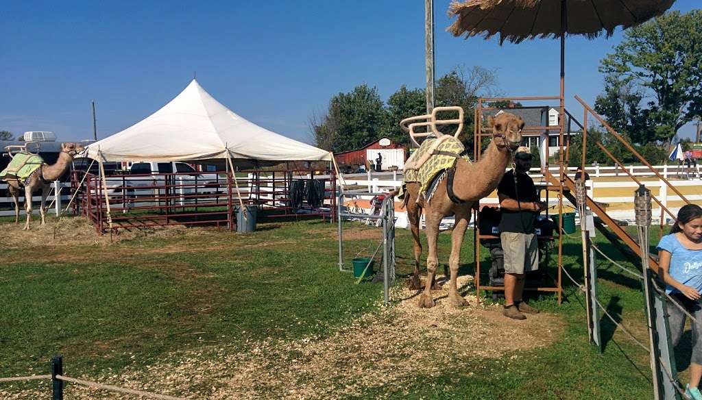 Temple Hall Fall Festival & Corn Maize | 15855 Limestone School Rd, Leesburg, VA 20176, USA | Phone: (703) 779-9372