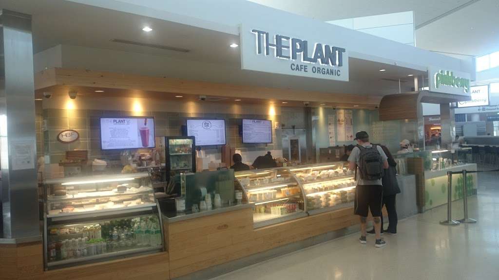 The Plant Café Organic | 173 Airport Access Rd, San Francisco, CA 94128, USA | Phone: (650) 821-9290