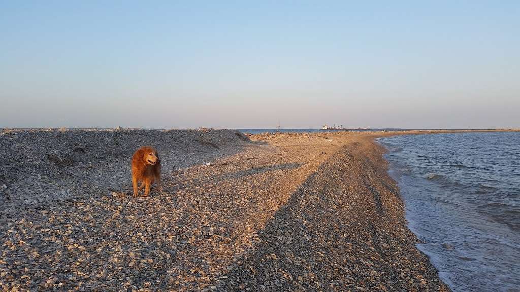 Red Fish Island | Bay, Galveston, TX, USA