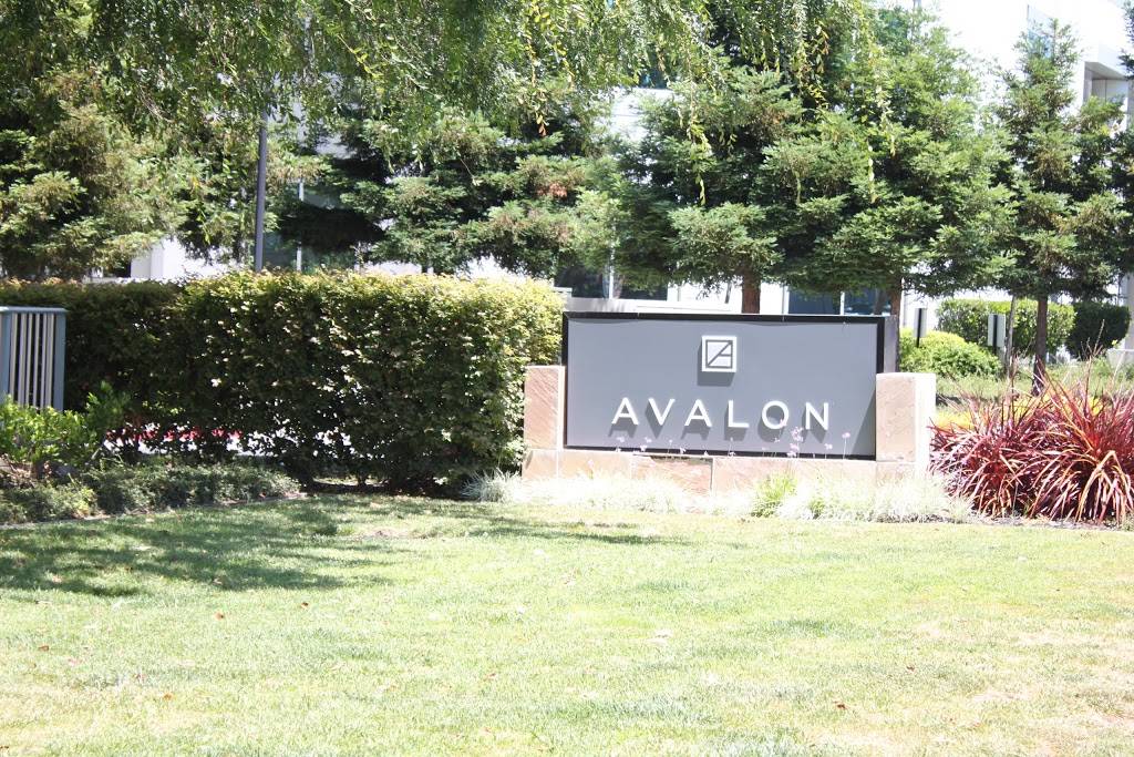 Avalon Towers on the Peninsula | 2400 W El Camino Real, Mountain View, CA 94040, USA | Phone: (650) 528-2130