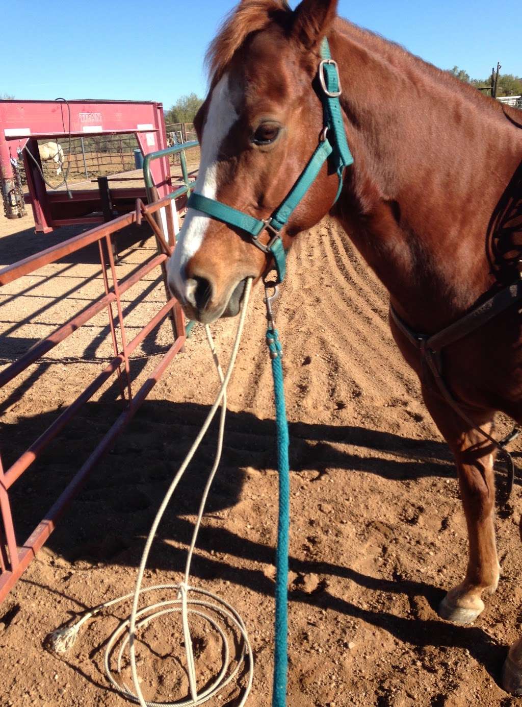 Arizona Horse Lovers Park | 19224 N Tatum Blvd, Phoenix, AZ 85050, USA | Phone: (602) 330-5553