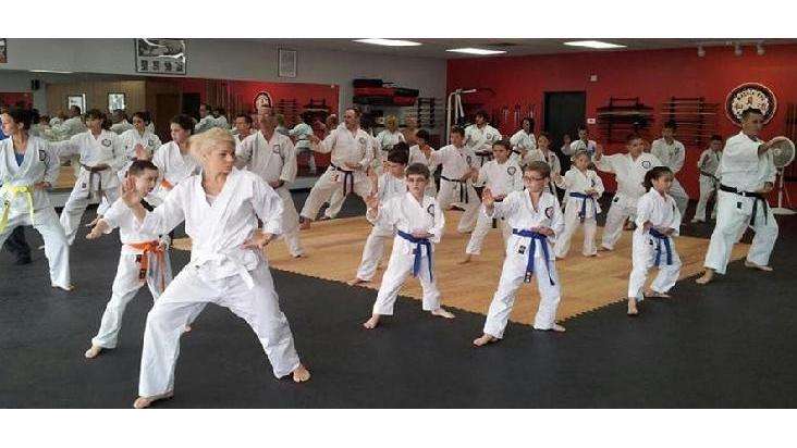 Hidy Ochiai Karate | 760 Jumper Rd, Wilkes-Barre, PA 18702, USA | Phone: (570) 970-7760