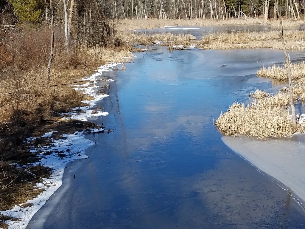 Livingston Field | 471-, 493 Livingston St, Tewksbury, MA 01876, USA