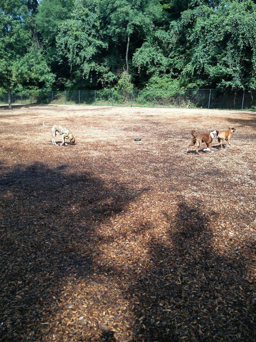 Bowie Dog Park | 3600 Northview Dr, Bowie, MD 20716, USA | Phone: (301) 809-3056