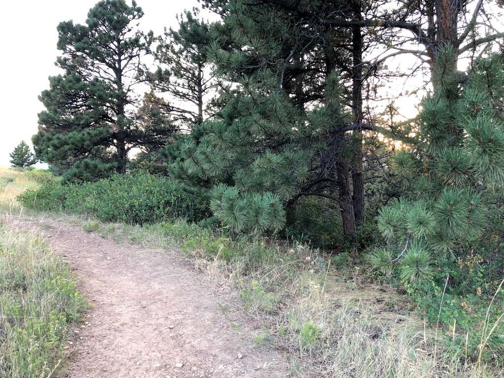 Marshall Mesa Trailhead | 5258 Eldorado Springs Dr, Boulder, CO 80303, USA | Phone: (303) 441-3440