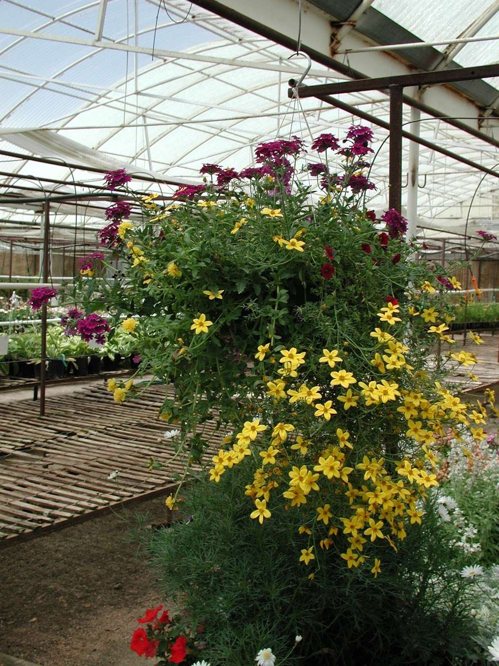 Front Range Gardens | 10195 Wadsworth Blvd, Broomfield, CO 80021, USA | Phone: (303) 469-3369