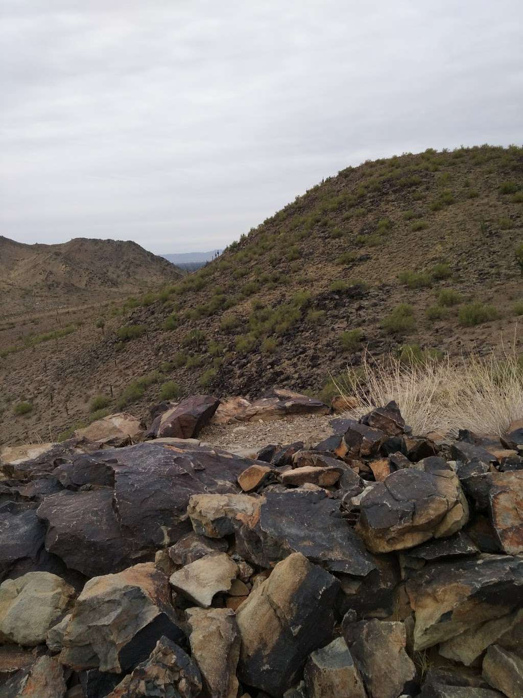 Shaw Butte Trail | 12898 N Central Ave, Phoenix, AZ 85022, USA