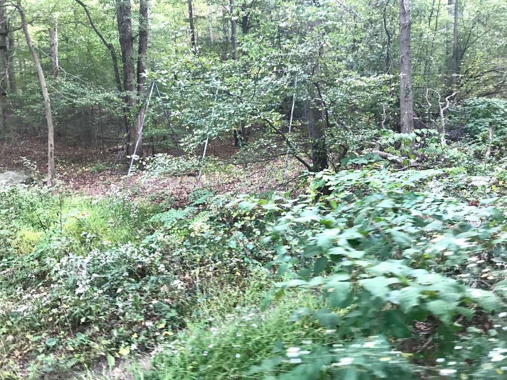 West Hills County Park | Sweet Hollow Rd, Melville, NY 11747, USA | Phone: (631) 854-4423