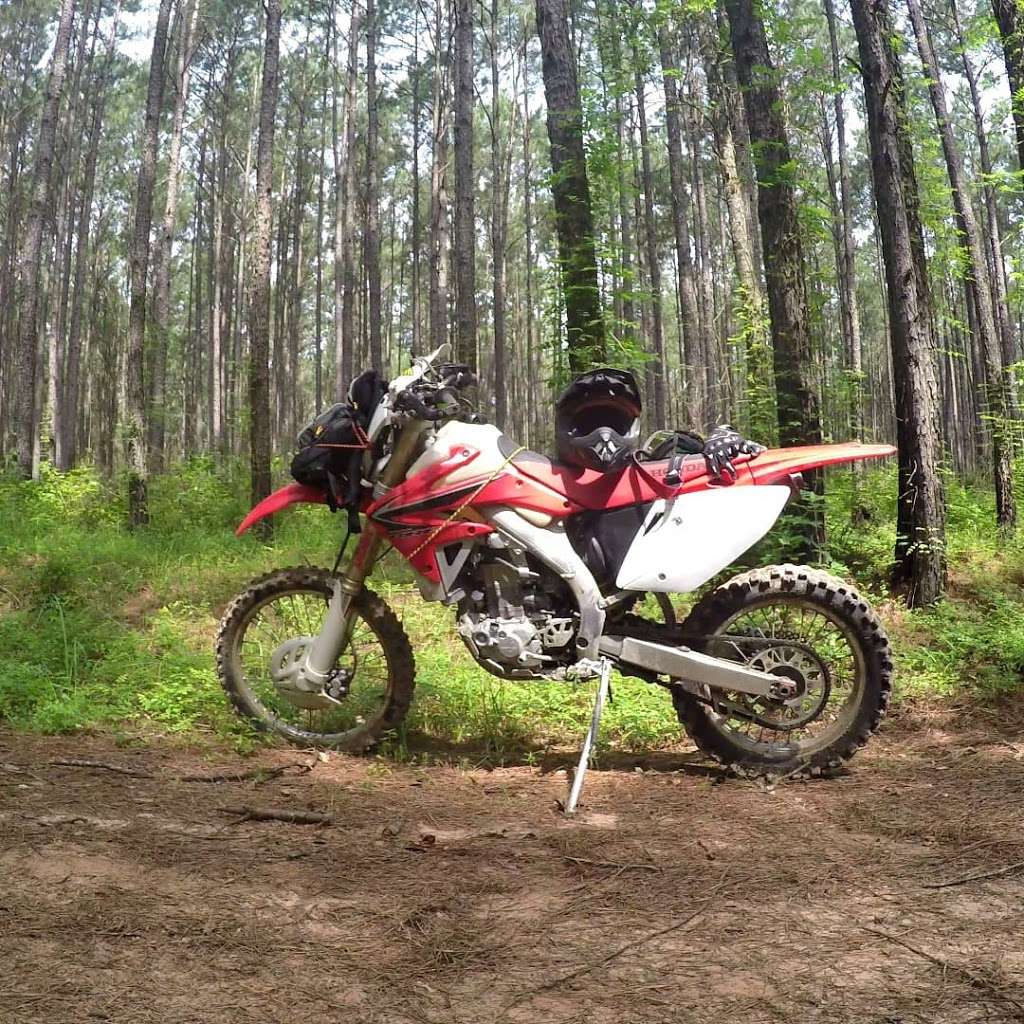 Sam Houston National Forest - Stubblefield Trailhead | Unnamed Road, Montgomery, TX 77356, USA