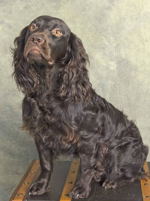 Foshay Photographers | 2324 W Memphis Pl, Broken Arrow, OK 74012, USA | Phone: (918) 384-9422