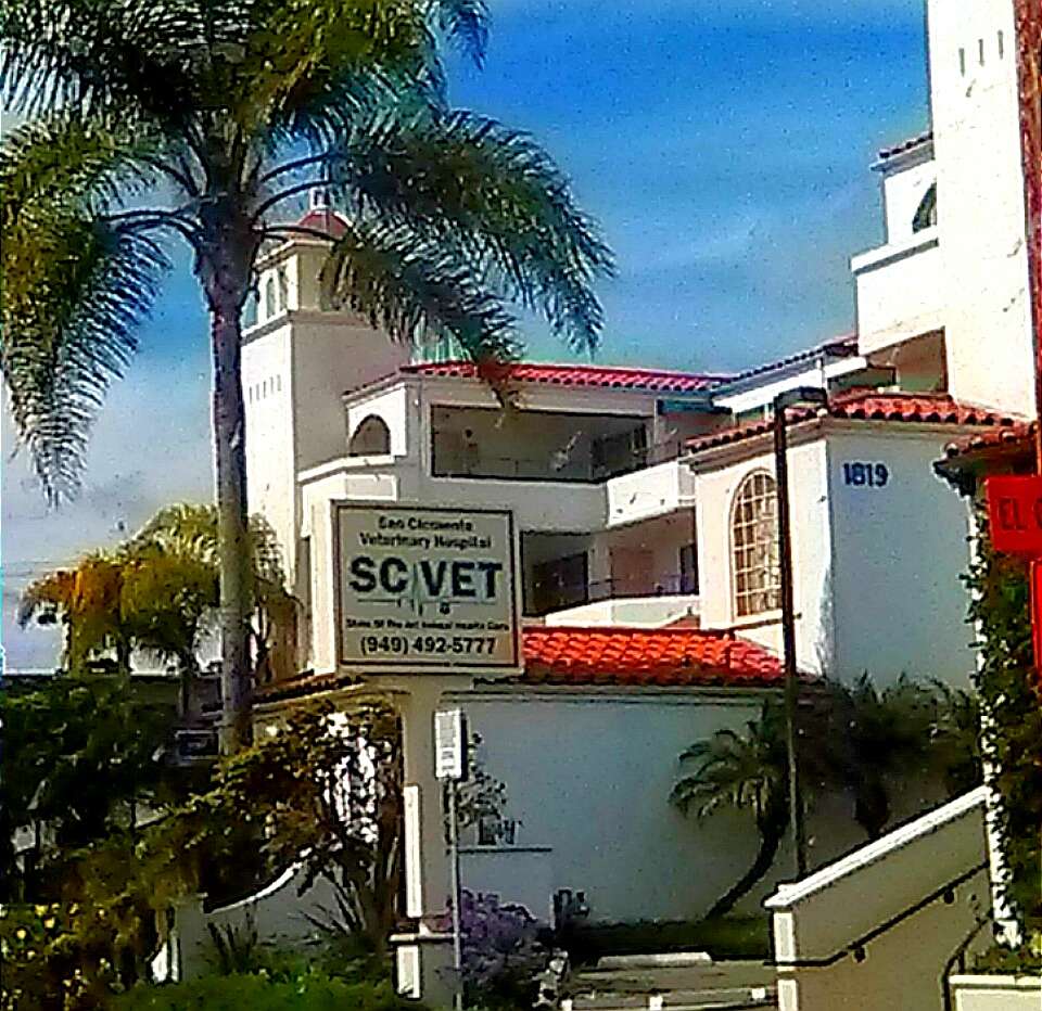 San Clemente Veterinary Hospital | 1833 S El Camino Real, San Clemente, CA 92672 | Phone: (949) 492-5777