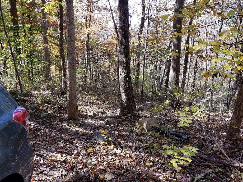 Appalachian Trail Access (Fm Blue Ridge Mtn Rd) | Appalachian Trail, Paris, VA 20130, USA