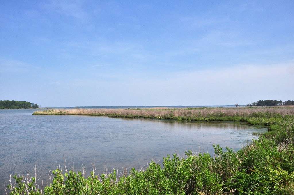 Eastern Neck National Wildlife Refuge | 1730 Eastern Neck Rd, Rock Hall, MD 21661, USA | Phone: (410) 639-7056