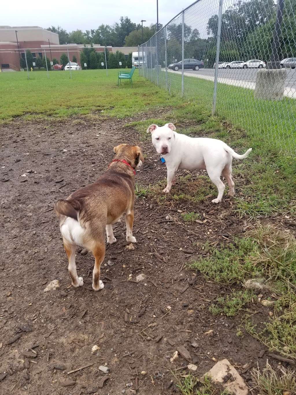 Manassas Park Dog Park | 38°4702.9"N 77°2741.3"W, Manassas Park, VA 20111, USA