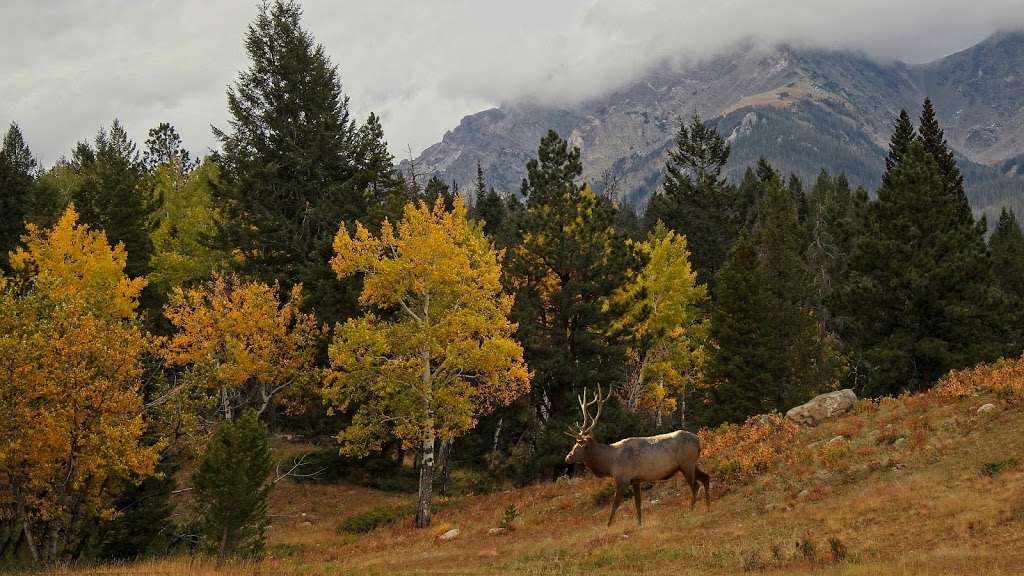 Moraine Park Discovery Center | 3 Bear Lake Rd, Estes Park, CO 80517, USA | Phone: (970) 586-1363