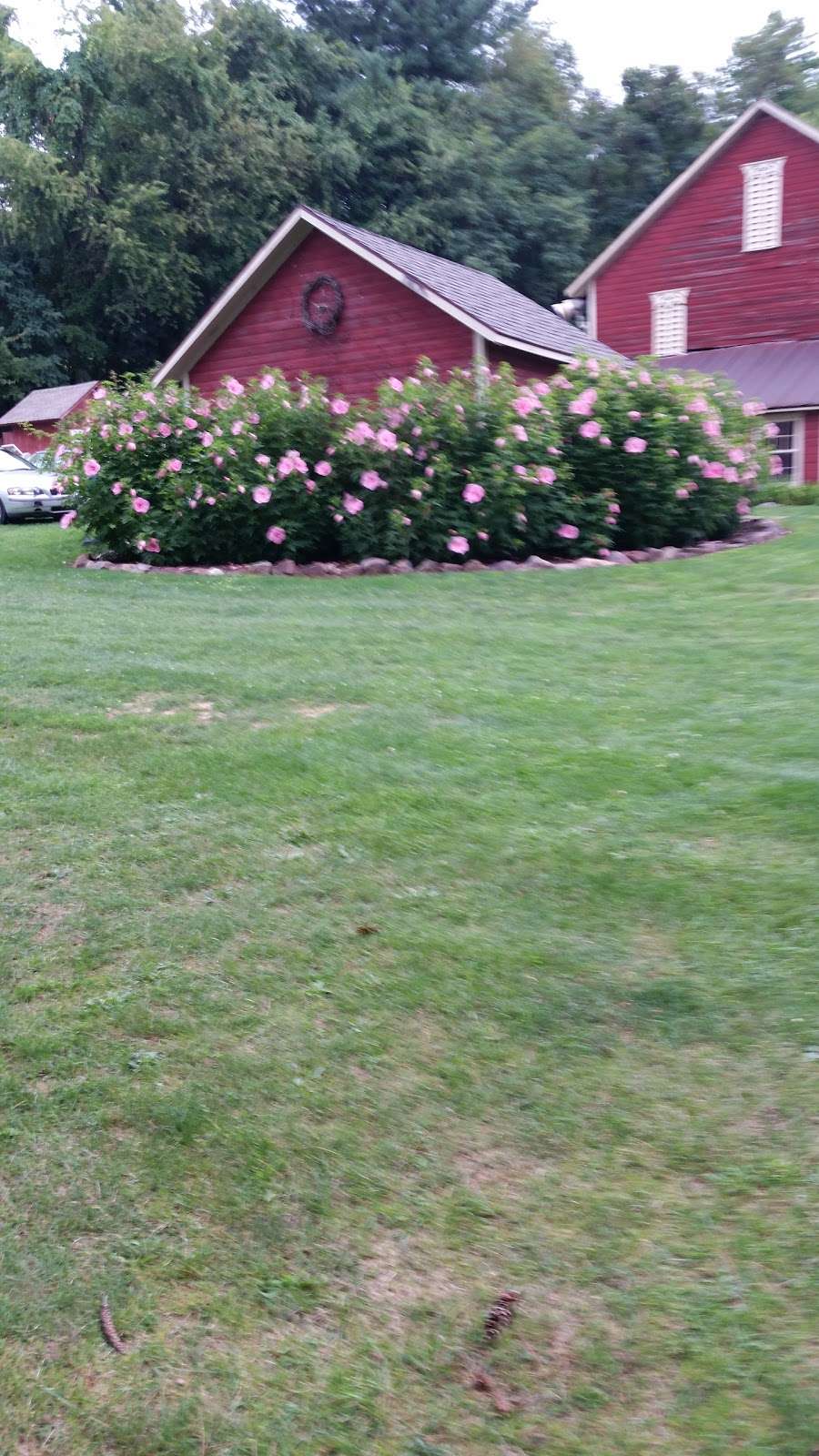 Twin Springs Fruit Farm | 257 High St, Orrtanna, PA 17353, USA | Phone: (717) 334-4582