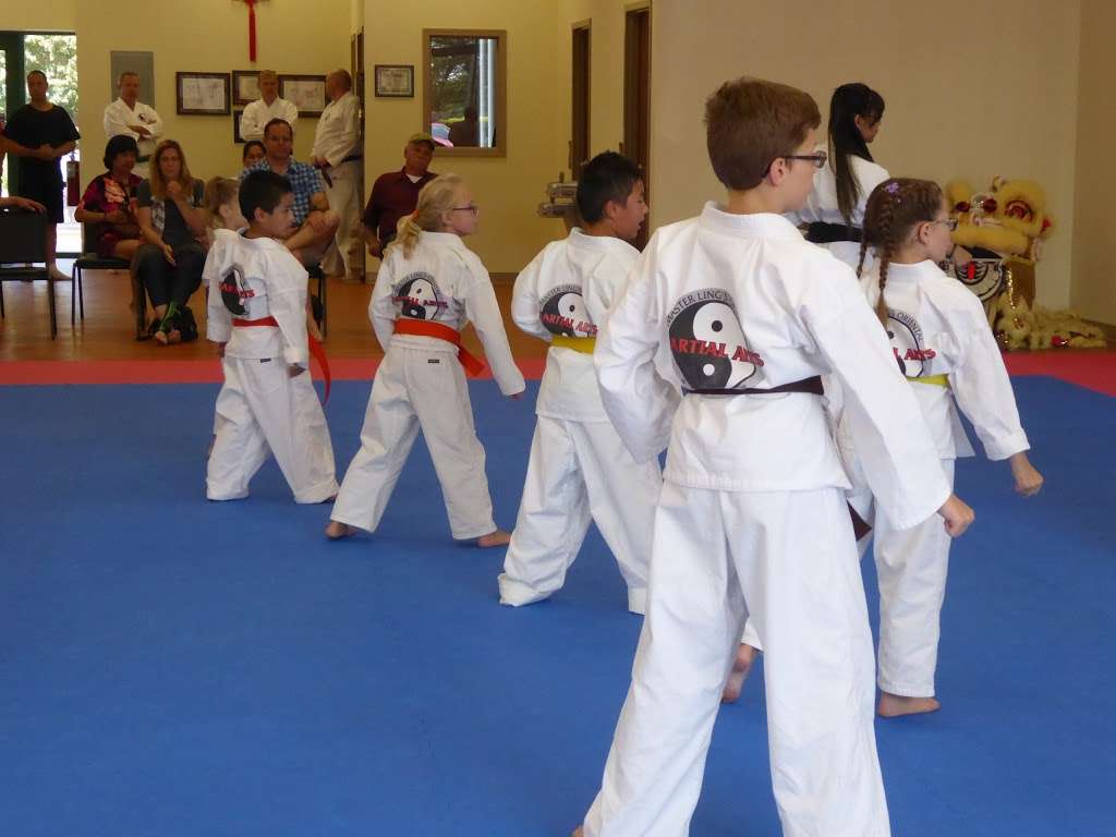 Lings Oriental Martial Arts, LLC | 5707 Pebble Village Ln, Noblesville, IN 46062, USA | Phone: (765) 437-8813