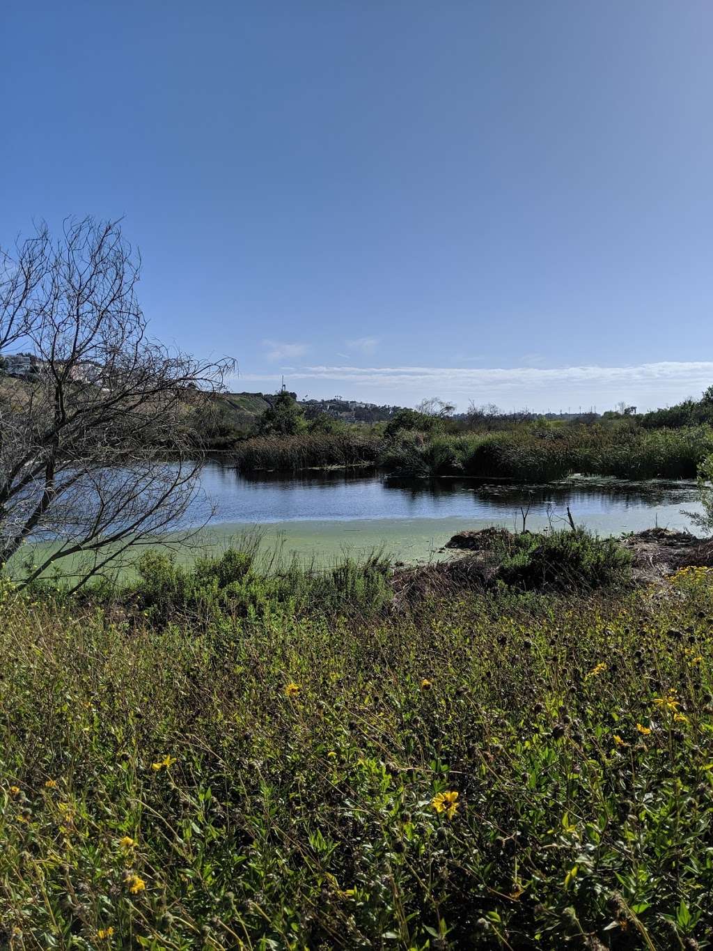 San Jacinto Wildlife Area | W Contour Rd, Nuevo, CA 92567, USA