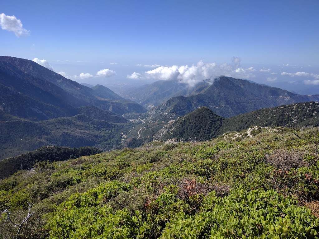 Bear Flat | Mt Baldy, CA 91759, USA