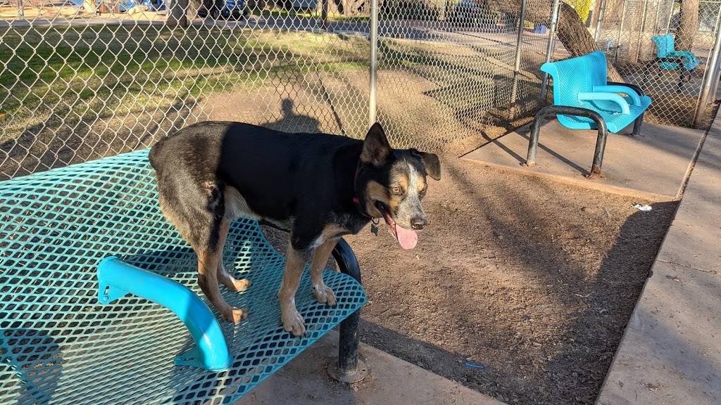 Mitchell Dog Park | S Mitchell Dr & 9th St, Tempe, AZ 85281, USA | Phone: (480) 350-4311