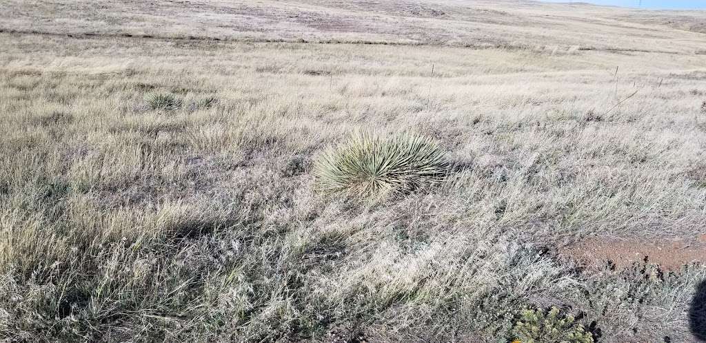 North Table Loop Trailhead | Golden, CO 80403