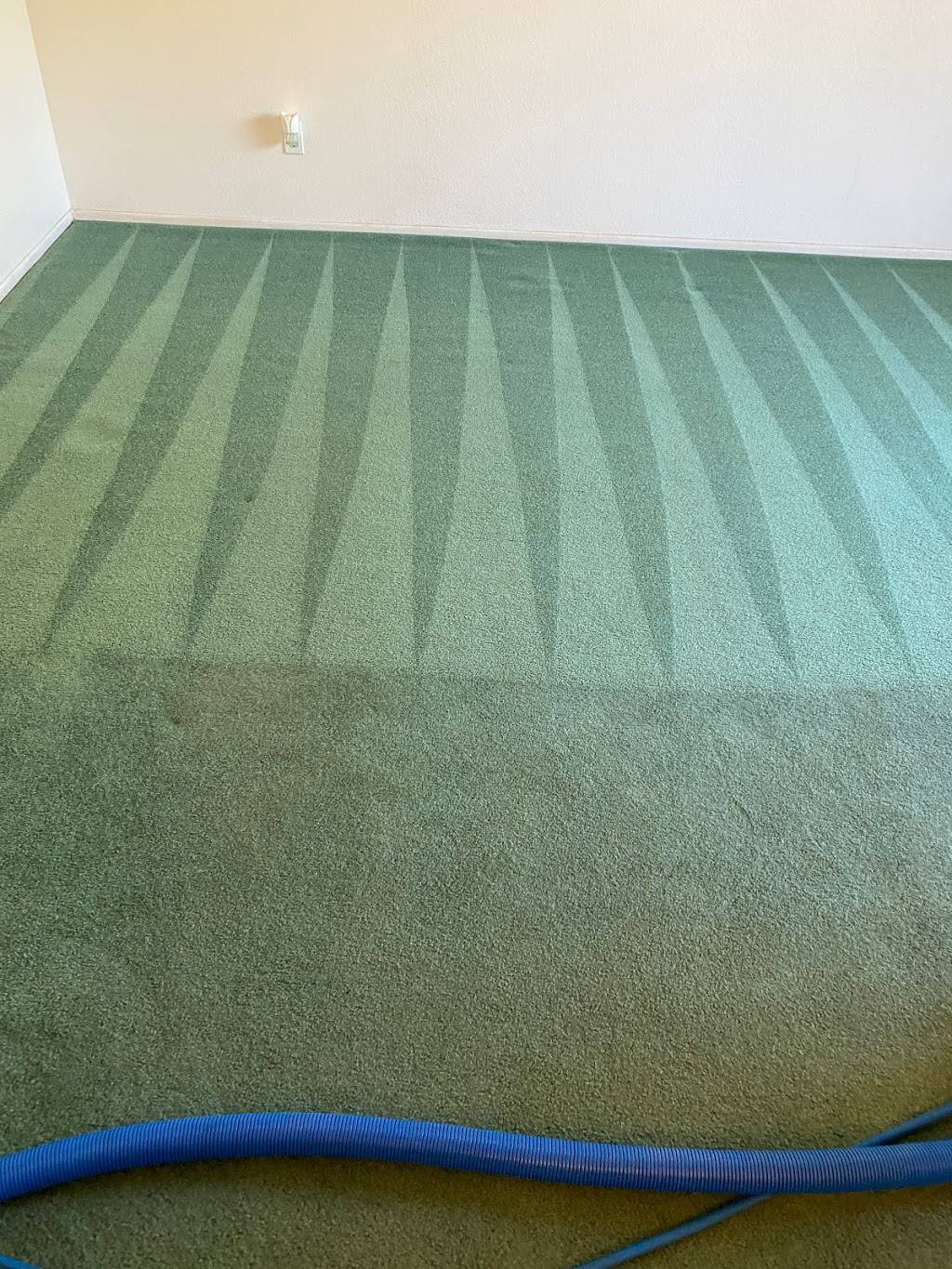 sergios carpet cleaning | 1851 N Marin Ave, Ontario, CA 91764, USA | Phone: (909) 510-2932