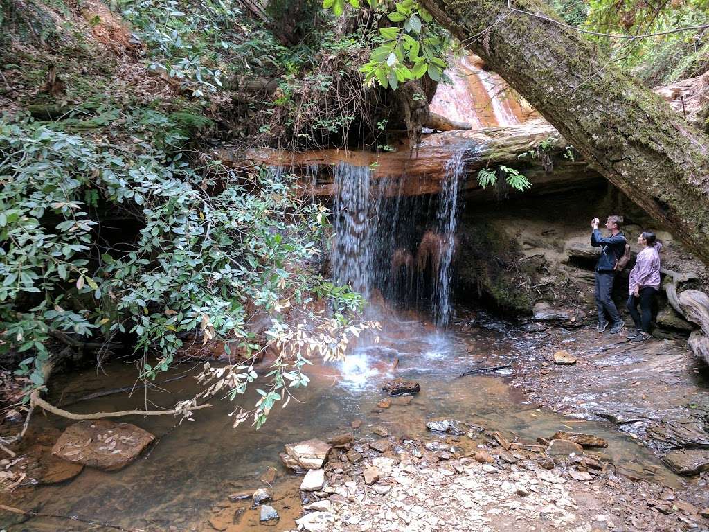 West Waddell Creek State Wilderness | Davenport, CA 95017