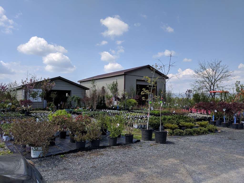 Pineloft Landscape and Garden Center | 1814 Iron Bridge Rd, Hustontown, PA 17229, USA | Phone: (717) 377-0297