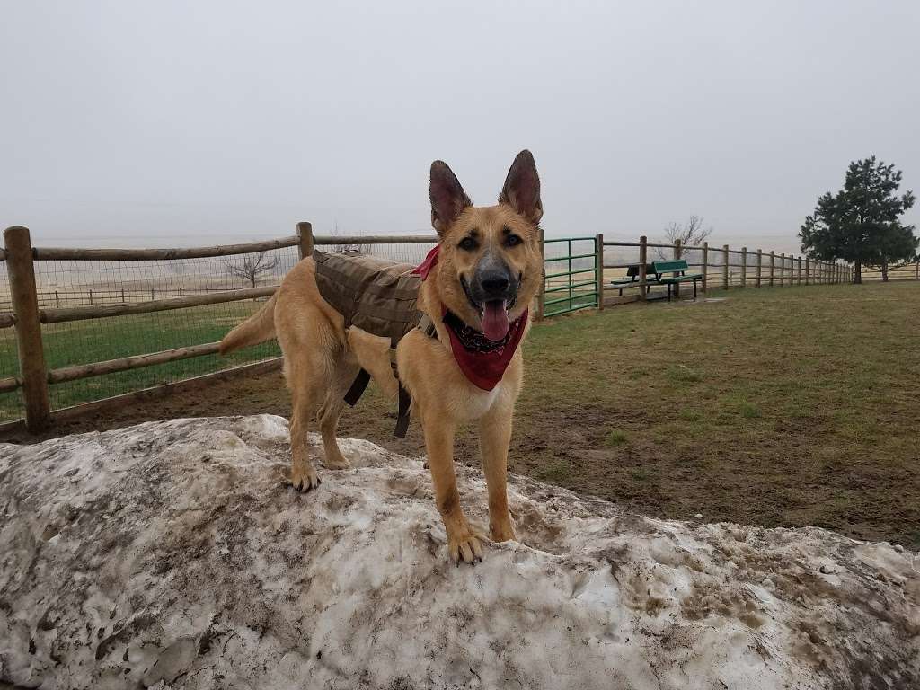 Bayou Gulch Dog Park | 4730 Fox Sparrow Rd, Parker, CO 80134