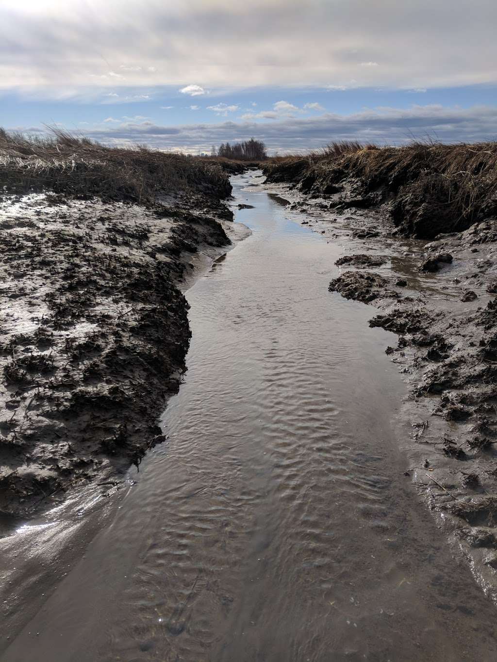 Rumney Marsh Reservation | Saugus, MA 01906, USA