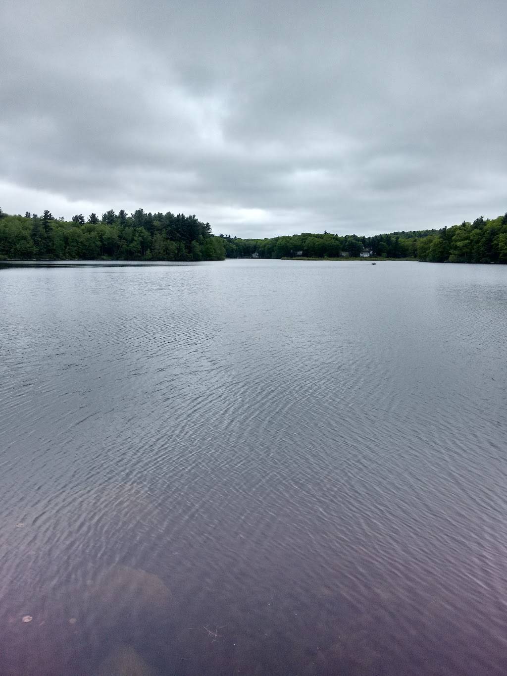 Rocky Pond Community Forest | Green St, Boylston, MA 01505, USA