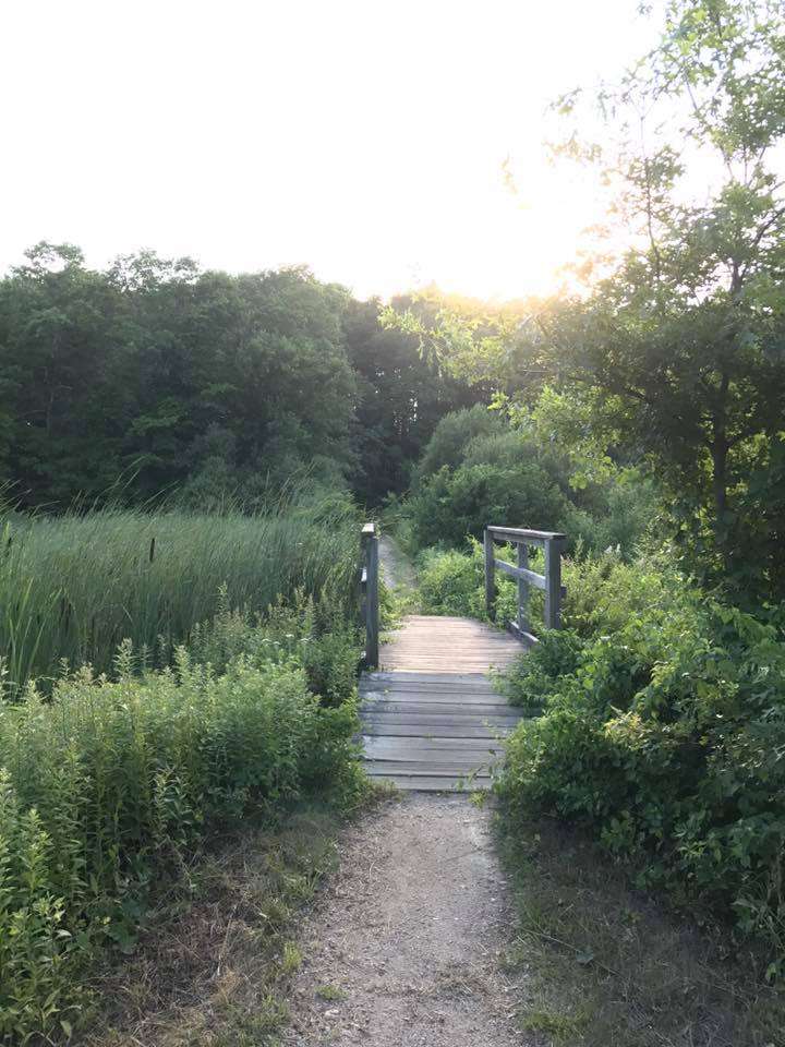 Duxbury Bogs | Duxbury, MA 02332, USA