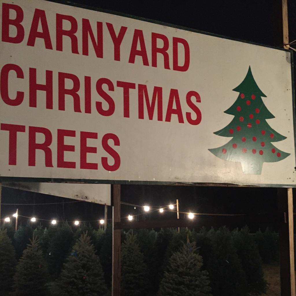 The Barnyard Christmas Trees | 4024 Belle Grove Rd, Baltimore, MD 21225, USA | Phone: (410) 302-1492