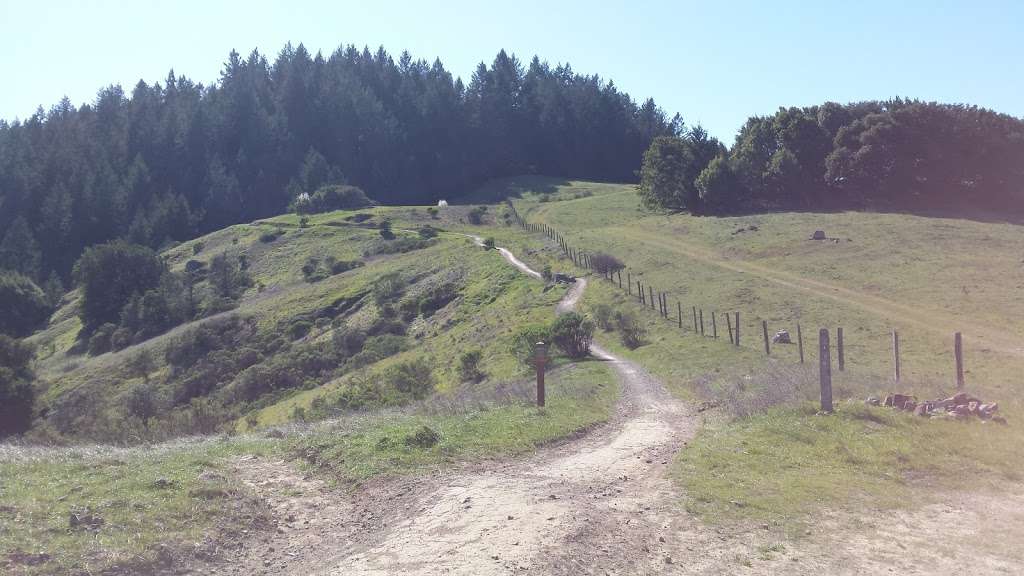 Whites Hill Open Space Preserve | Sir Francis Drake Blvd, Fairfax, CA 94930