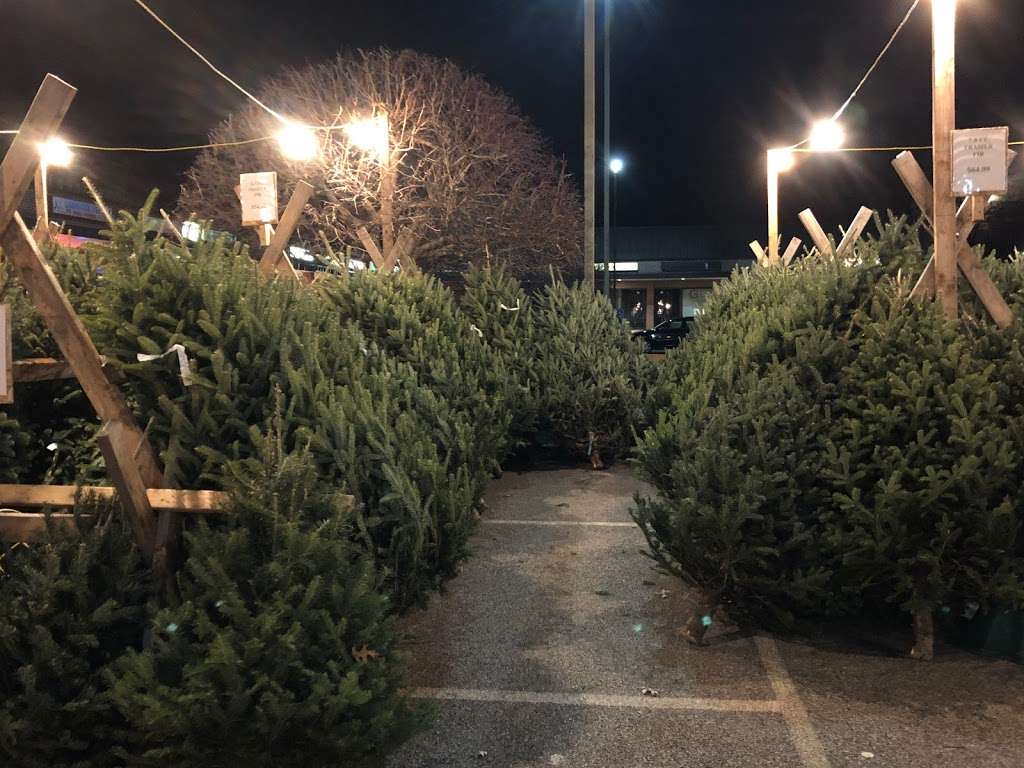 Fresh Cut Christmas Trees | 2593 NY-52, Hopewell Junction, NY 12533, USA | Phone: (845) 224-5556