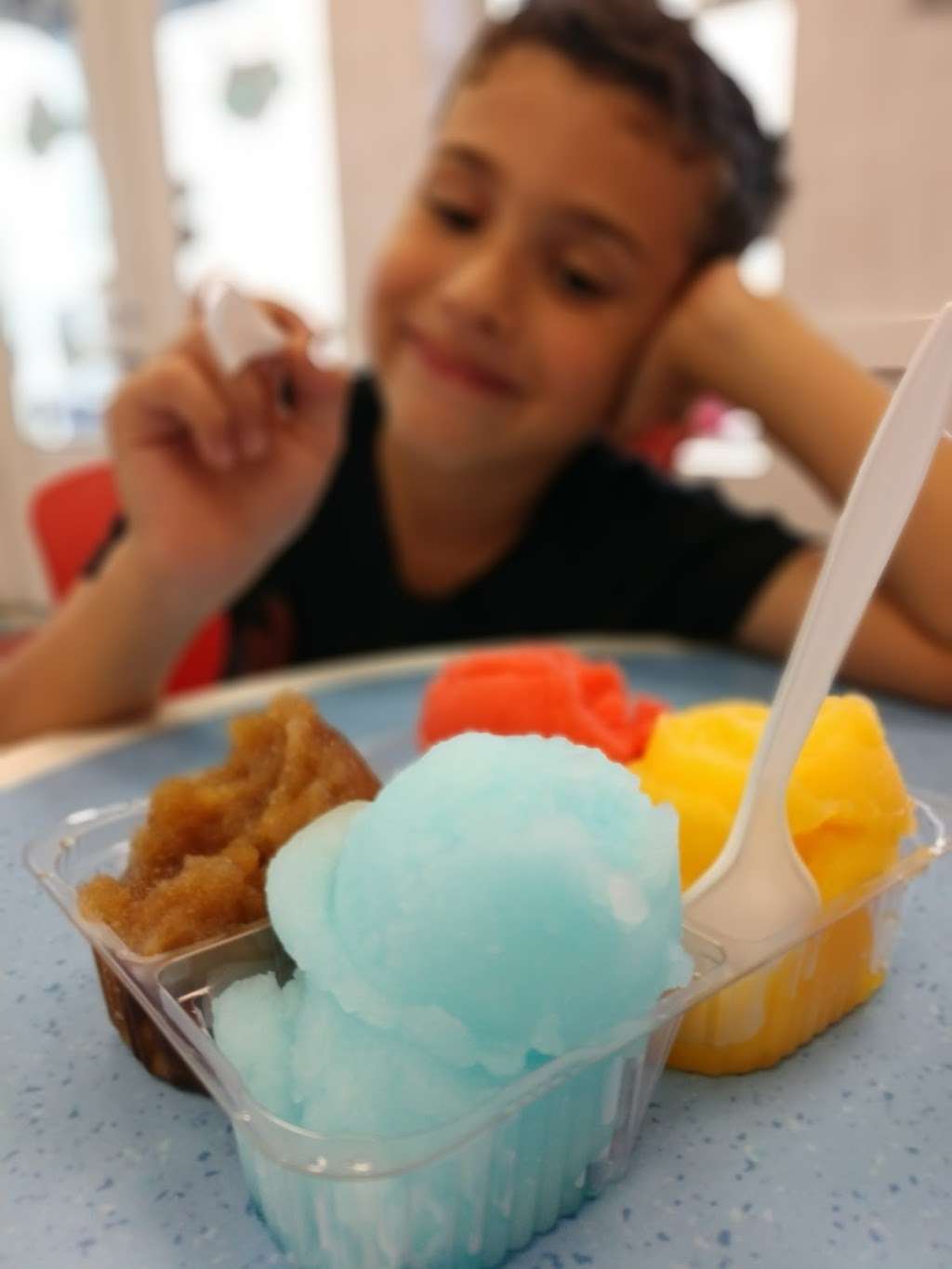 Ritas Italian Ice & Frozen Custard | 515 N Park Ave, Apopka, FL 32712 | Phone: (321) 256-9111