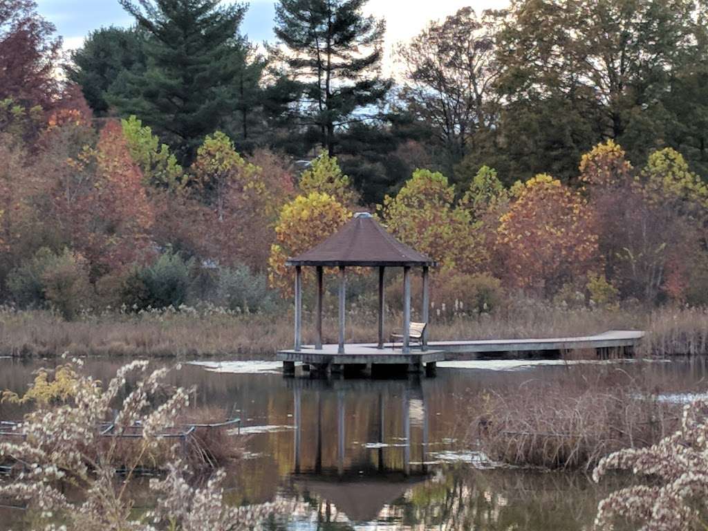Font Hill Wetland Park | 10018-10020 Autumn View Ln, Ellicott City, MD 21042, USA