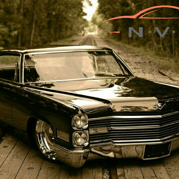 N-V-US DETAILING | 911-A Dove Ct, Denver, NC 28037, USA | Phone: (980) 222-7567