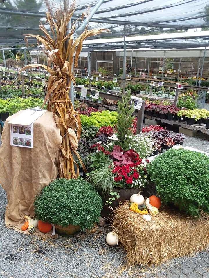 Meadows Farms Nurseries & Landscaping | 43054 John Mosby Hwy, Chantilly, VA 20152, USA | Phone: (703) 542-2300