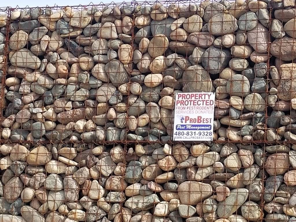 ProBest Pest Management | 751 N Monterey St #116, Gilbert, AZ 85233, USA | Phone: (480) 831-9328