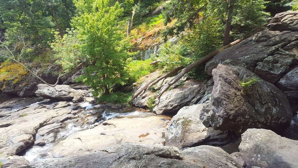 Cunningham Falls | Lower Trail - Red Blaze, Smithsburg, MD 21783, USA