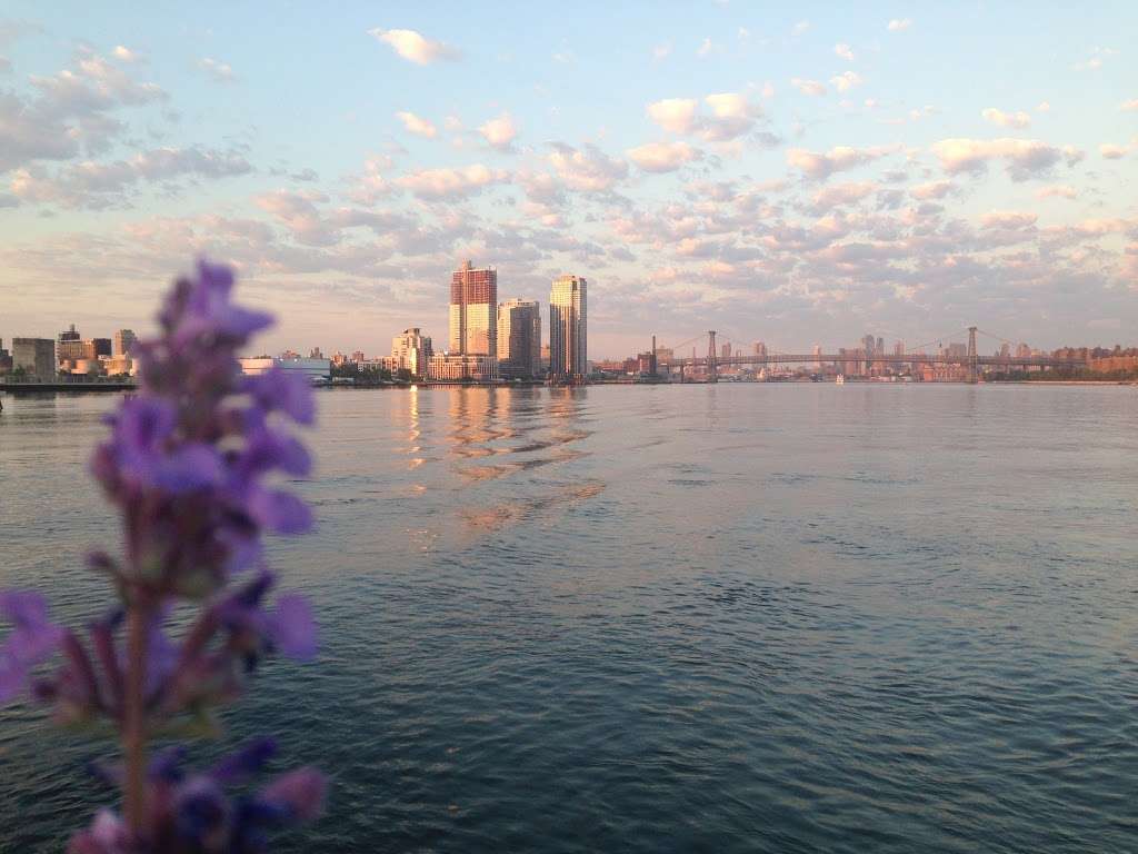 India St./Greenpoint Terminal | 10 India St, Greenpoint, NY 11222, USA