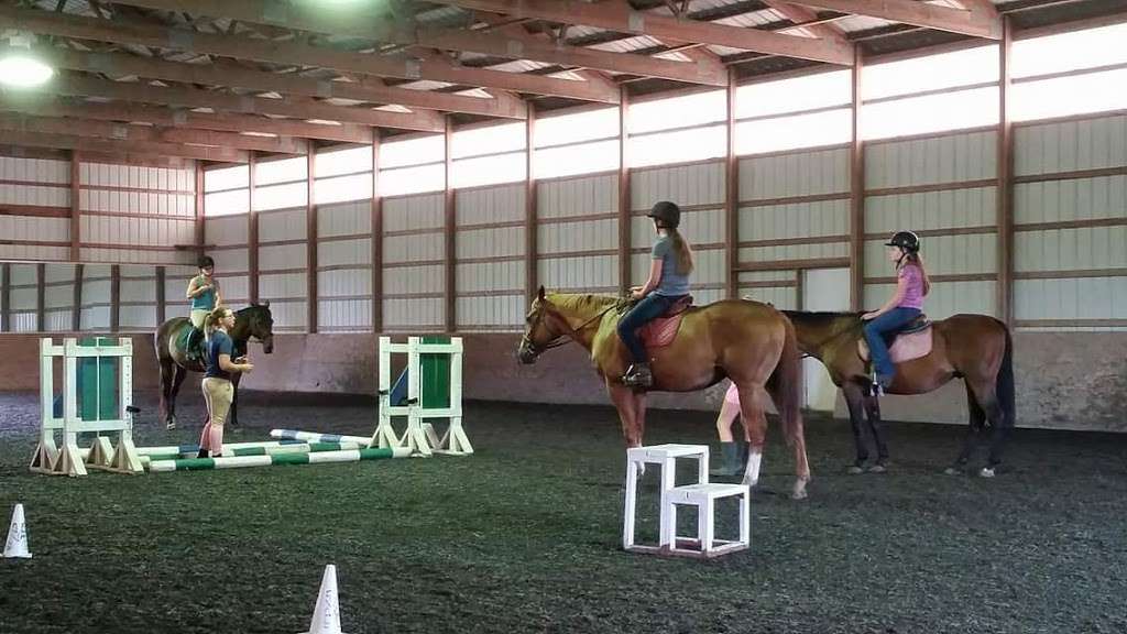 Triple E Training & New View Equestrian Center | 335 Red Lion Rd, Southampton Township, NJ 08088, USA | Phone: (609) 661-9192